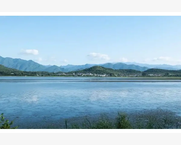 大暑养生方案